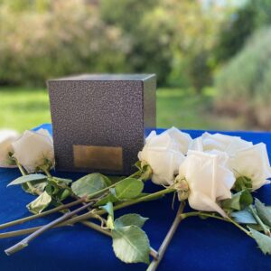 Cineración Párvulos